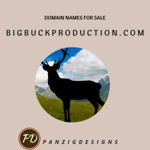 Domain Names for Sale- bigbuckproduction.com